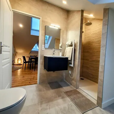 Apartment Premium Dans Belle Demeure - Hyper Centre-ville De Reims